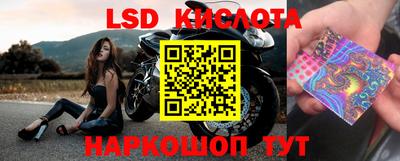 гашик Бузулук