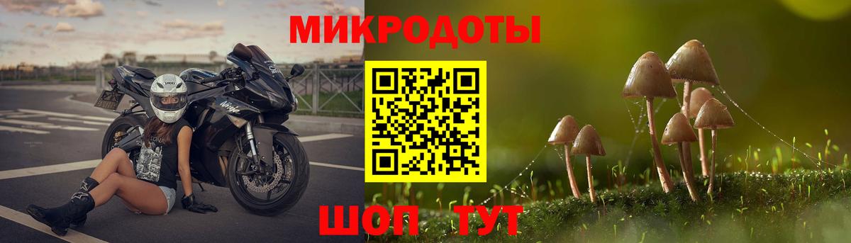 Лесной  Псилоцибиновые грибы Magic Shrooms  Вход с VPN  Галлюциногенные грибы Psilocybine cubensis 